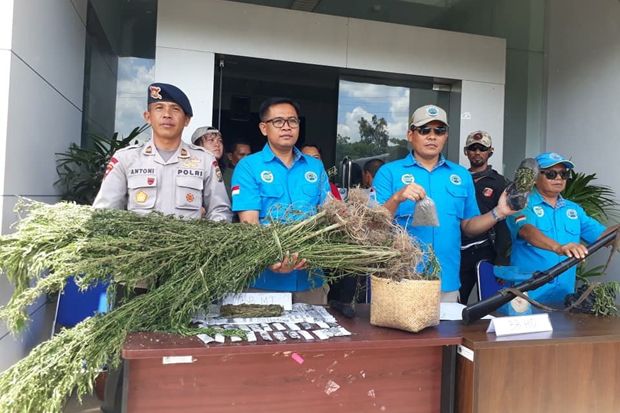 Ladang Ganja 1 Hektare...