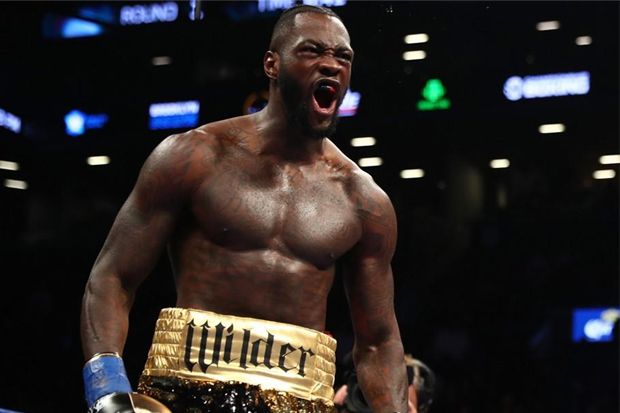 Lawan Tanding Wilder...
