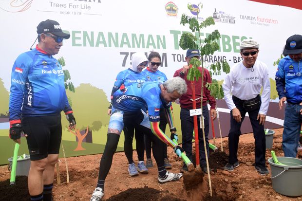 10.000 Trembesi Ditanam...