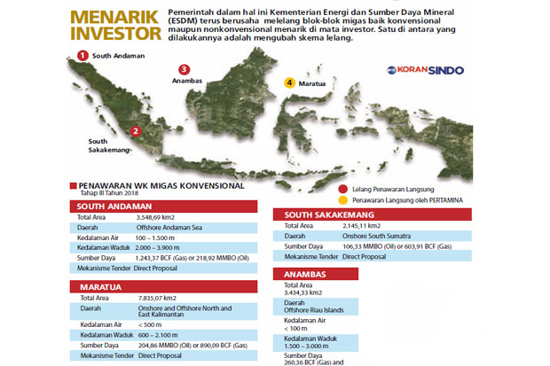 Pemerintah Lelang Empat...