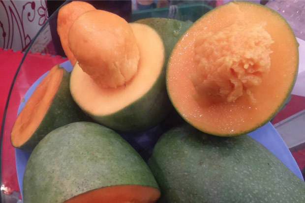Mangga Gadung Klonal...