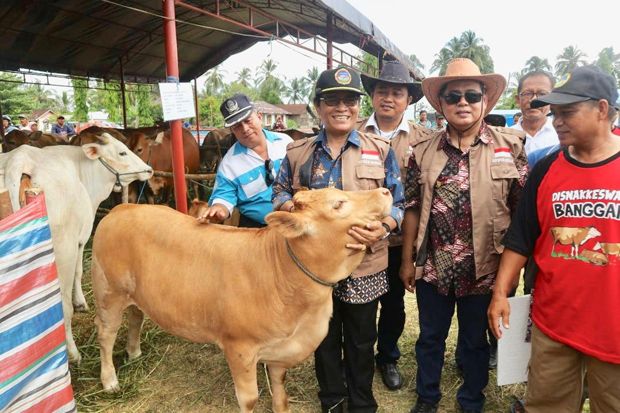 Peningkatan Kelahiran...
