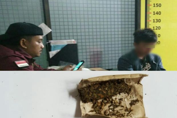 Simpan Ganja di Sepatu,...