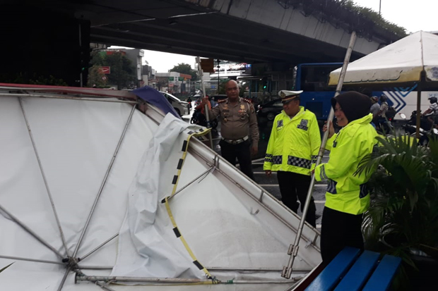 Banyak Pohon Tumbang...