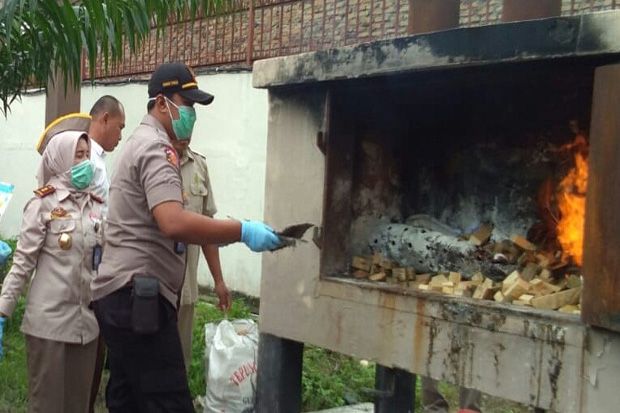Tanaman Hias dan Daging...