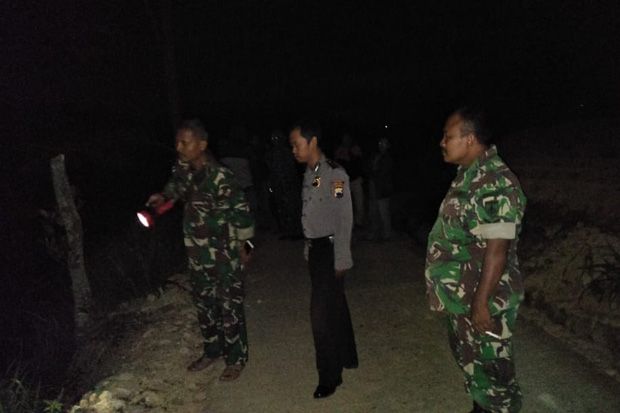 Macan Pemangsa Ternak...