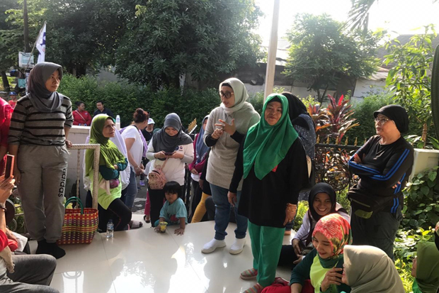 Caleg Cantik Perindo...