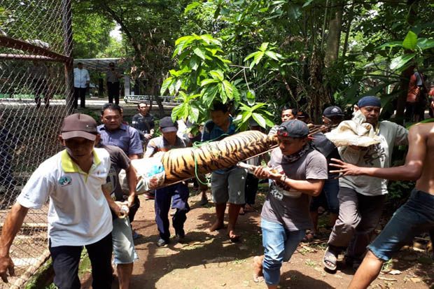 Detik-Detik Menegangkan...