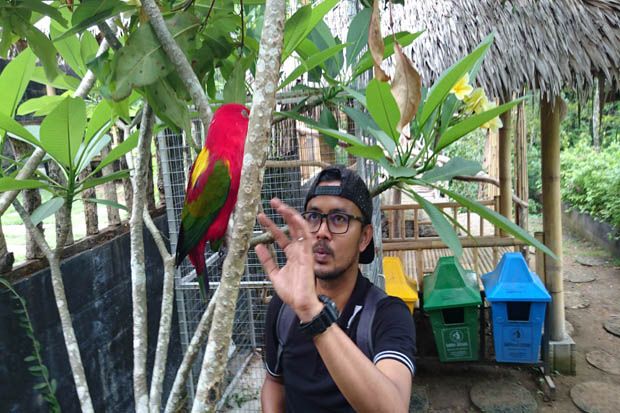Belajar Mengenal Burung...