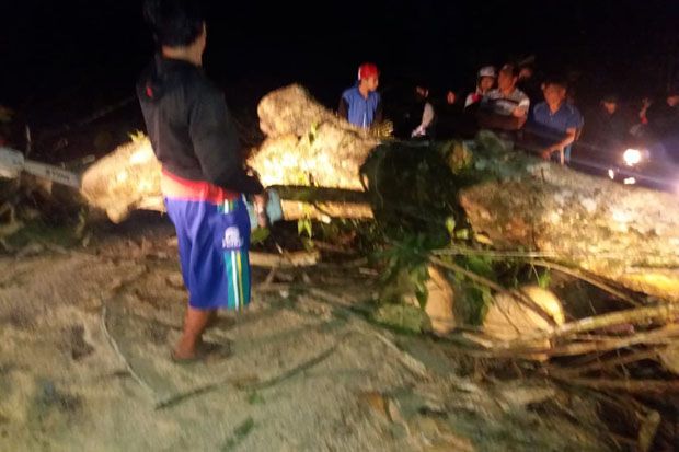 Pohon Tumbang, Akses...