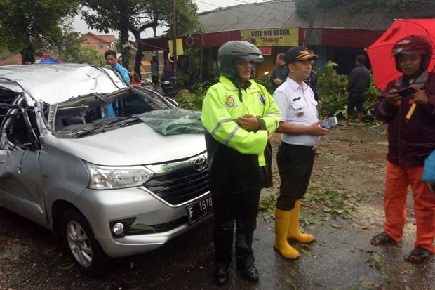 Meninggal Tertimpa Pohon...