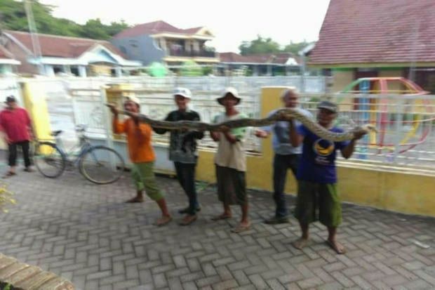 Warga Sidoarjo Tangkap...