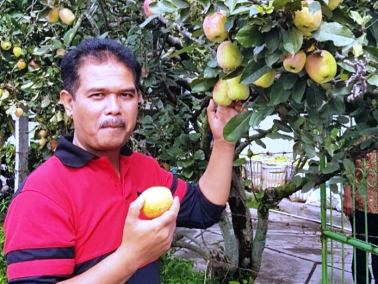 Kementan Fokus Kembangkan...