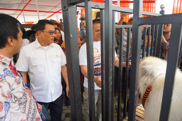 Kambing Seharga Setengah...