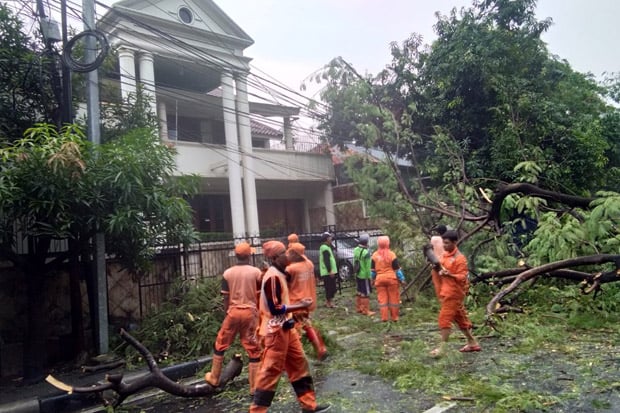 Hujan Angin, Sejumlah...