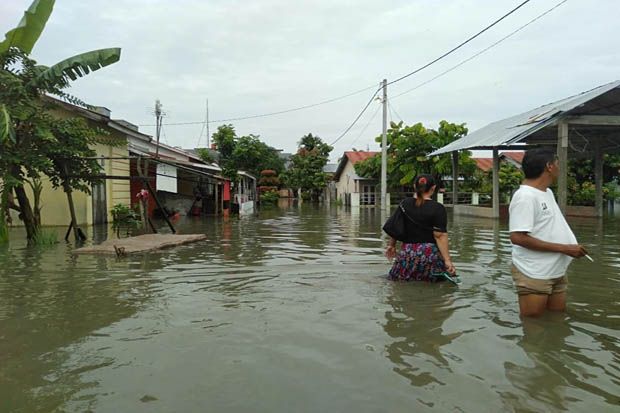 Diguyur Hujan Deras,...