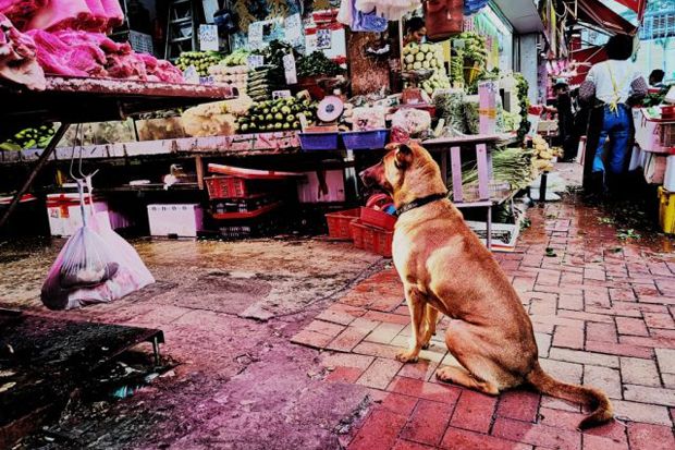 Huawei Rilis Foto Pertama...
