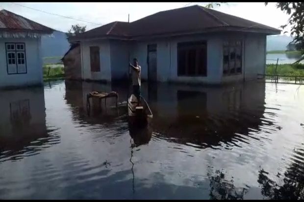 Ratusan Hektar Sawah...