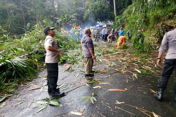 Hujan Deras, Rumpun...