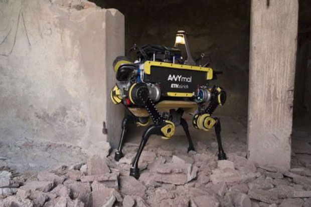 Robot Anjing Ini Bekerja...