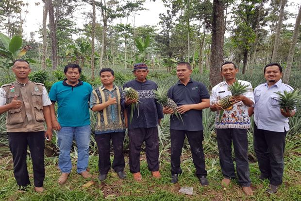 Kementan Dorong Kemitraan...