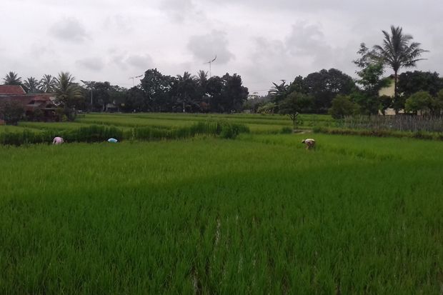 Saat Indonesia Menolak...