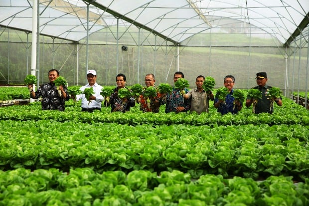 Awali Tahun 2019, Mentan...