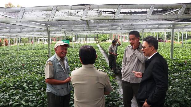 Kementan Dorong Balittri...