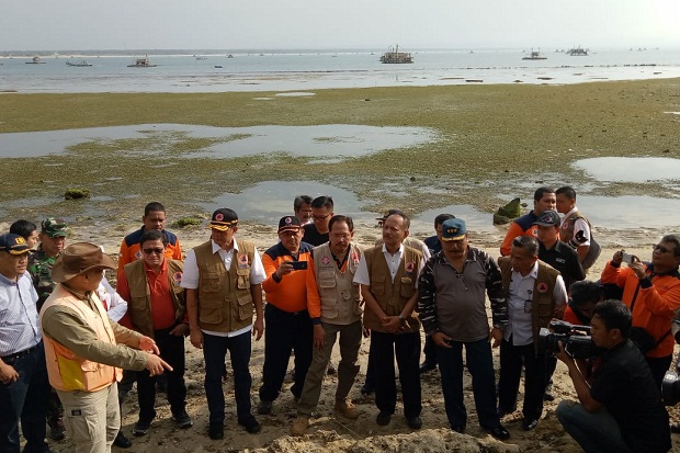 Kepala BNPB: Hutan Pantai...