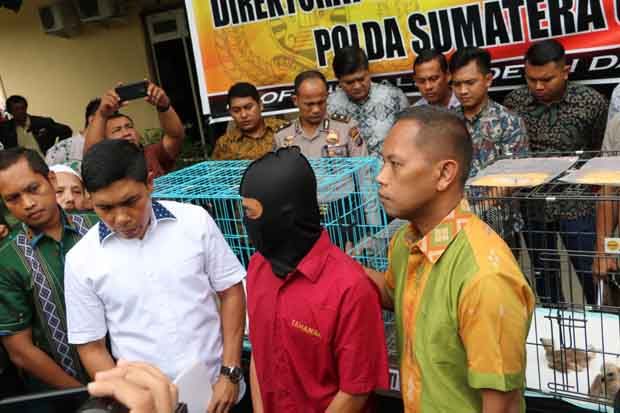 Polda Sumut Tangkap...