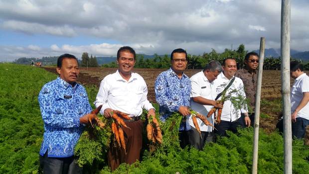 Potensi pasar Tinggi,...