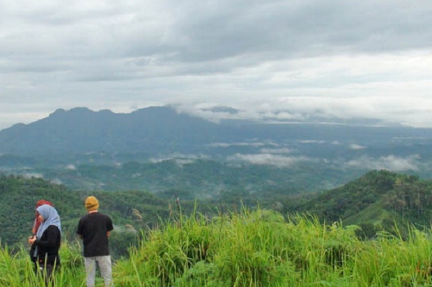 Sejuta Pesona Puncak...