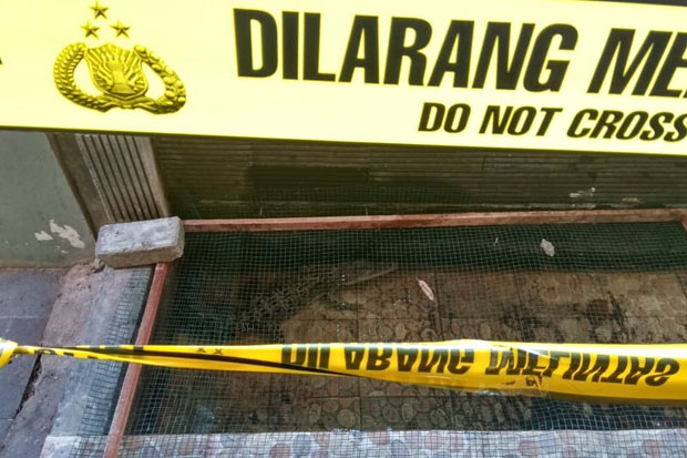 Buaya Muara dan Python...