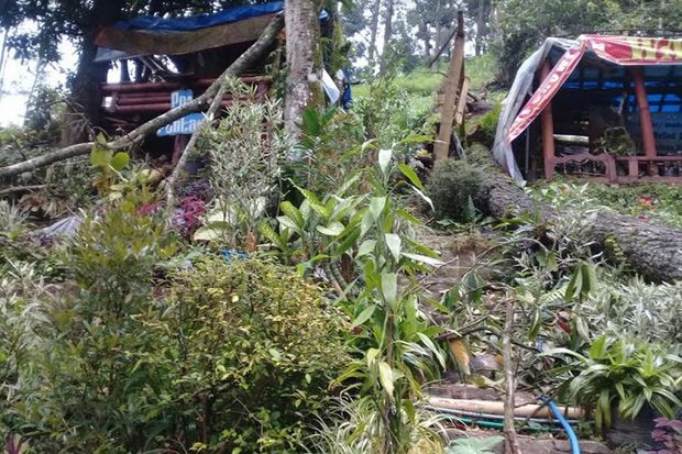 Hujan Disertai Angin...