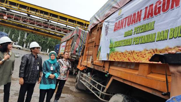 Kementan-Bulog Distribusikan...