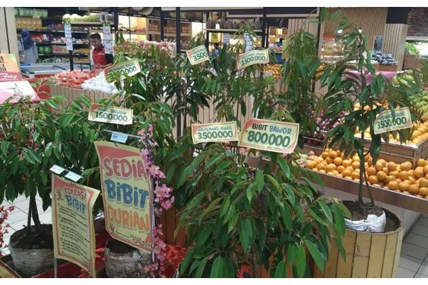 Usai Jual Durian Rp14...