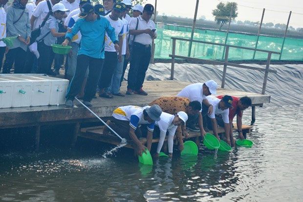 Menteri Rini Optimalkan...