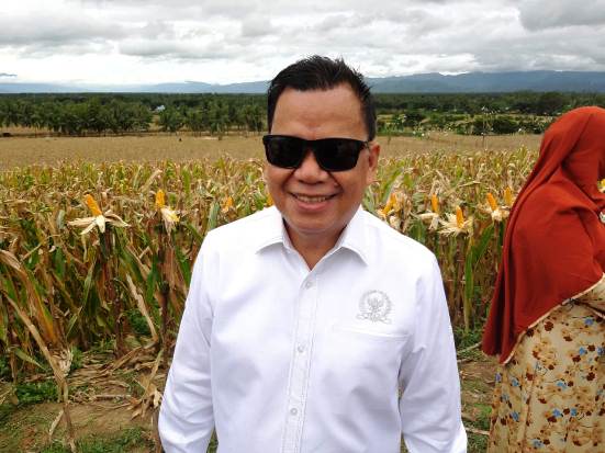 Produksi Melimpah, DPR...