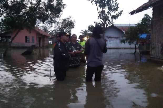 150 Hektare Sawah dan...
