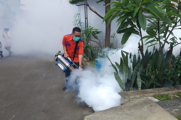 Redam Wabah DBD, Rescue...