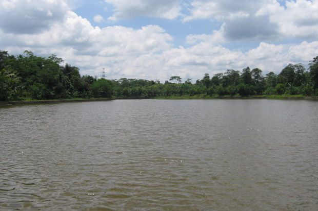 Misteri Si Layung dan...