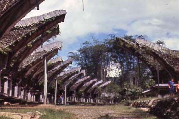 Asal Mula Suku Toraja...