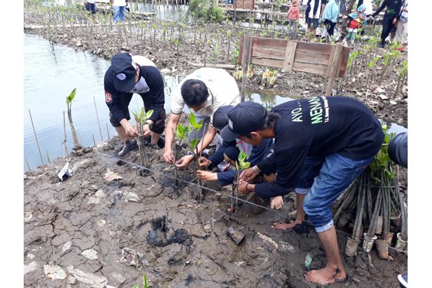 Mulai Gundul, Muara...
