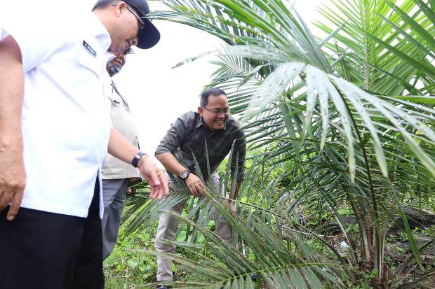Bupati Dodi Bakal Rintis...