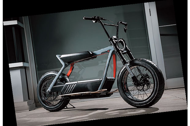 Harley-Davidson Uji...