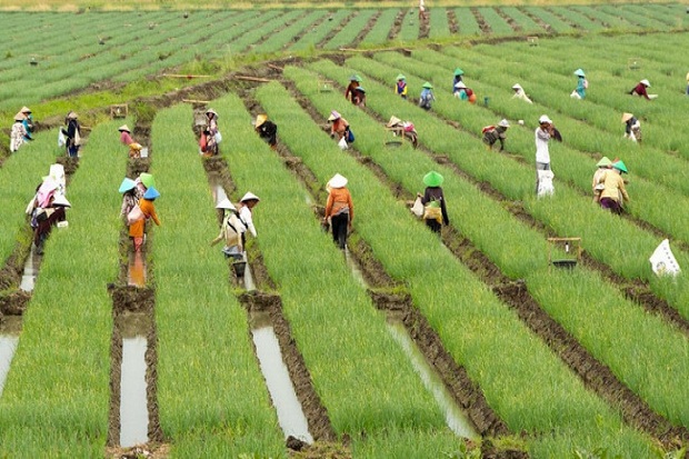 Paguyuban Tani Sunda:...
