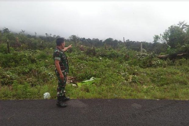 Hutan di Taman Nasional...