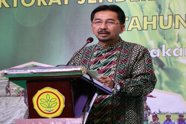 Gelar Rakortek, Ditjen...