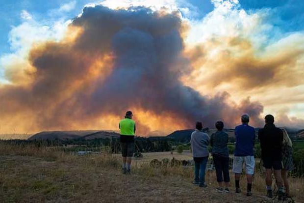 Hutan Terbakar di Selandia...