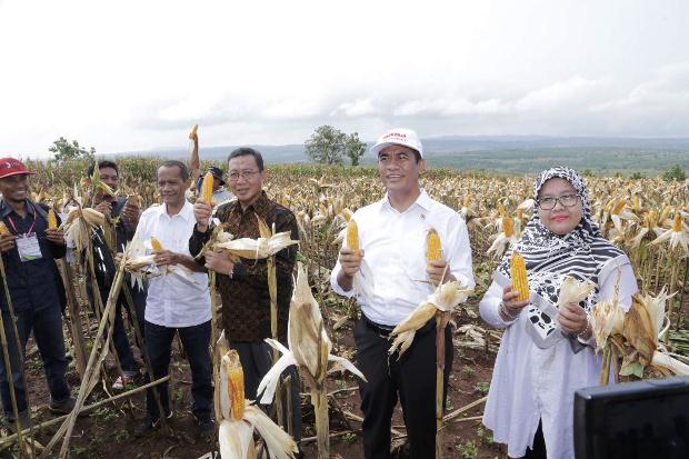 Kementan Yakin Target...